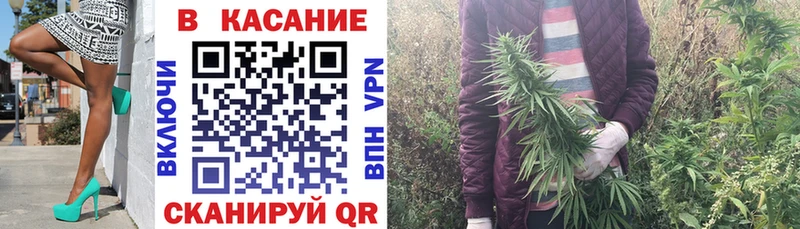 Купить наркотики цена Черноголовка ГАШ  Конопля  СК  Мефедрон  COCAIN 