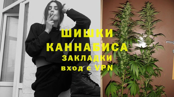 винт Верея