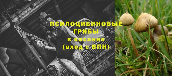 винт Верея
