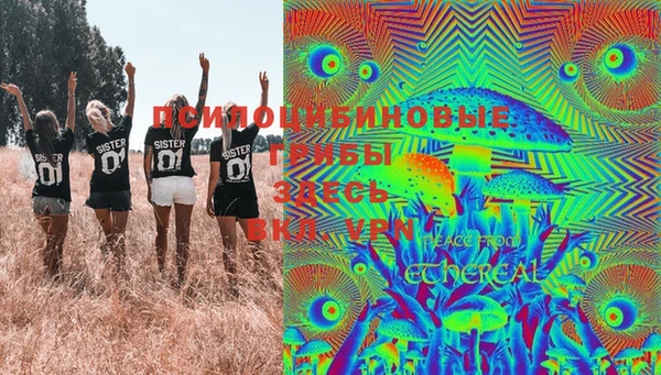 винт Верея