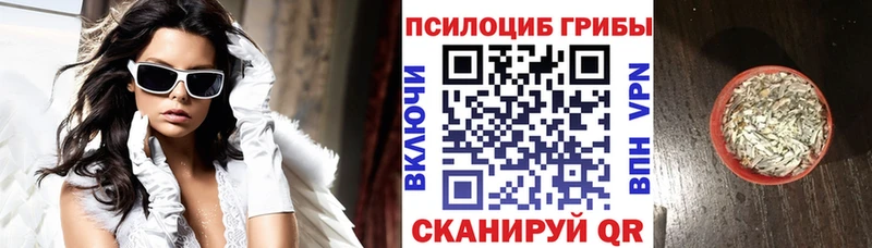 Псилоцибиновые грибы Magic Shrooms  Черноголовка 